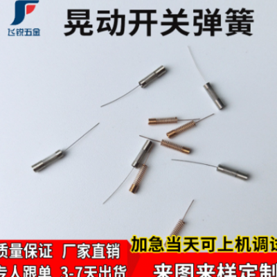东莞弹簧厂晃动开关弹簧 振动开关高灵敏感应不锈钢弹簧