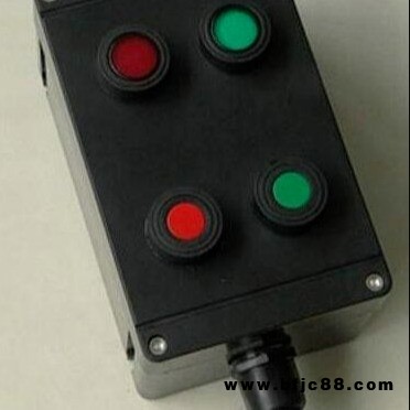 BZC51 A2B1D2GWF1 两灯两钮一电流表 内